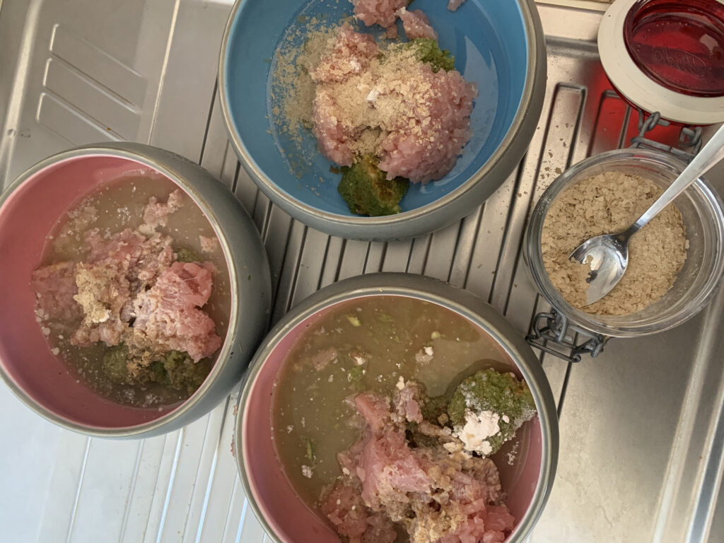 cucina casalinga per cane carlino 