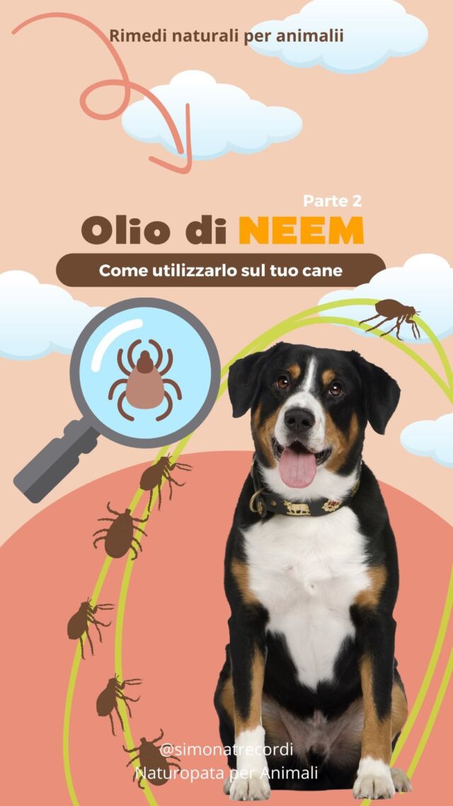 Ossi di pelle per cani: un passatempo rischioso - Il carlino a modo mio